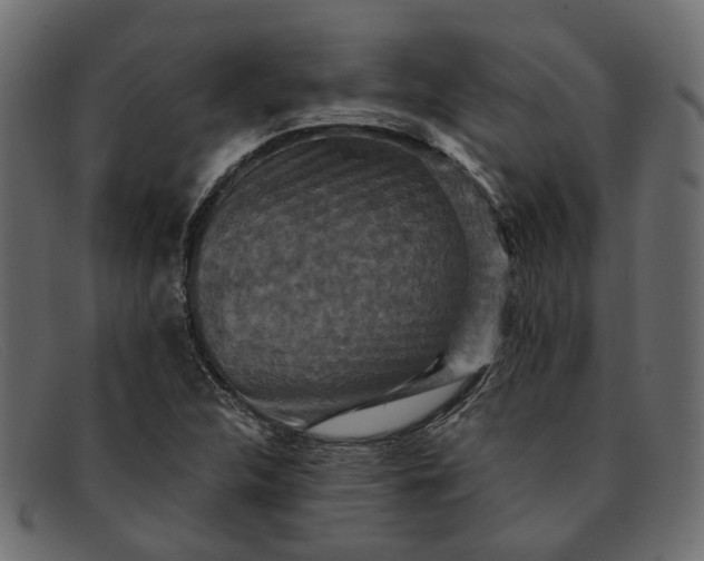 X0000091931312200709191351
