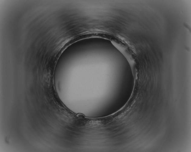 X0000091931313200709191351
