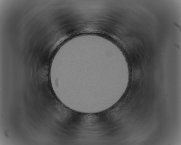 X0000091931314200709191351
