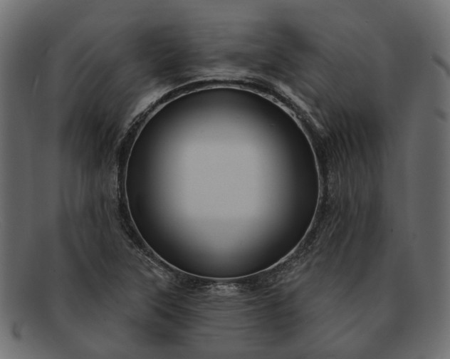 X0000091931315200709191351