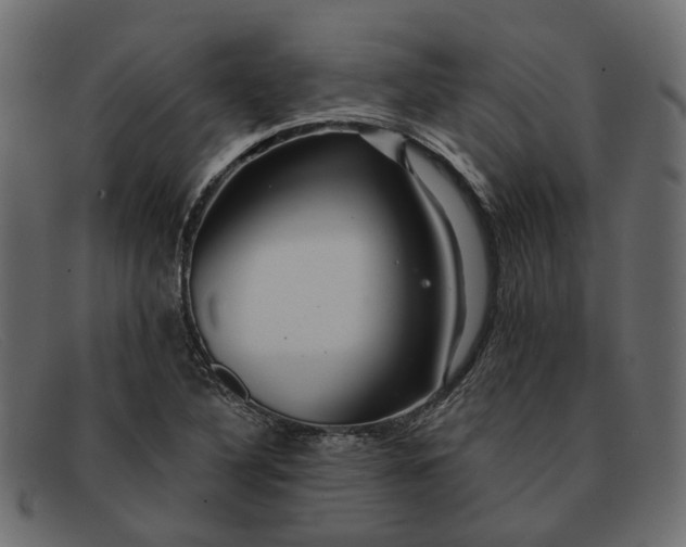 X0000091931316200709191351