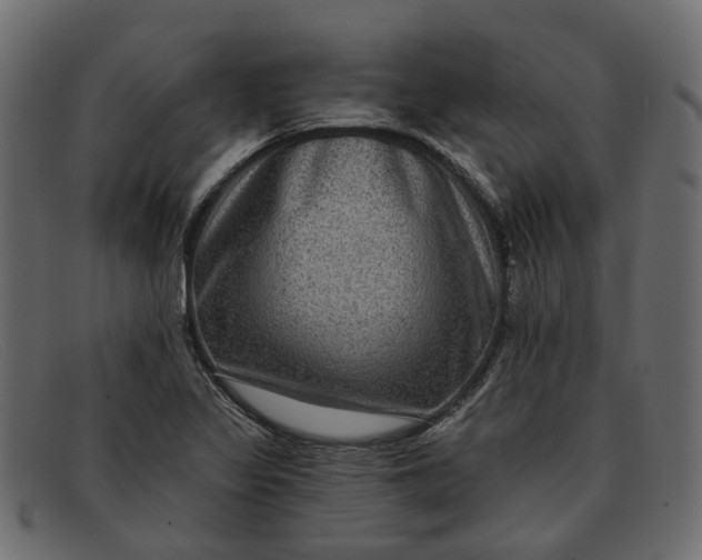 X0000091931317200709191351