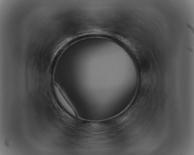 X0000091931318200709191351
