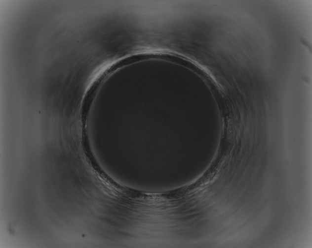 X0000091931319200709191351