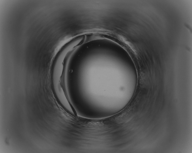 X0000091931320200709191351