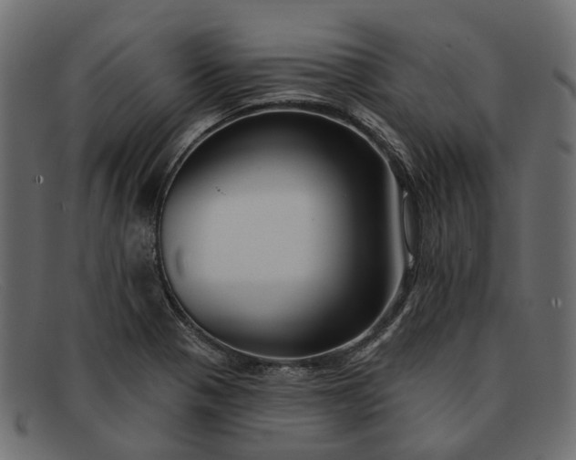 X0000091931321200709191351