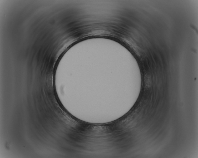 X0000091931322200709191351