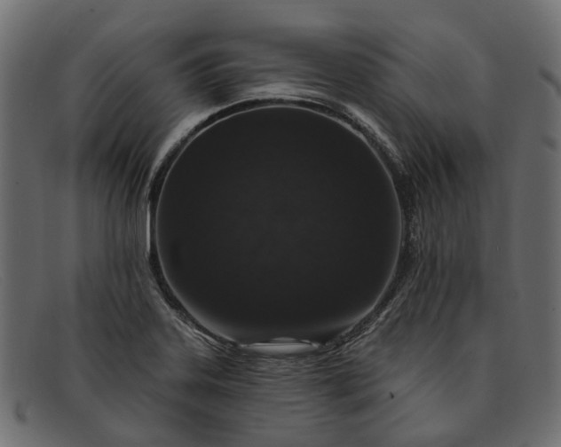 X0000091931323200709191351
