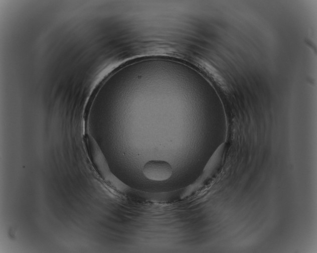 X0000091931324200709191351