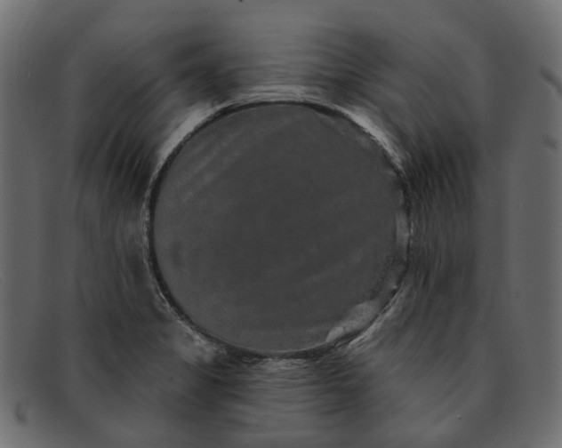 X0000091931325200709191351