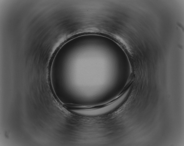 X0000091931326200709191352
