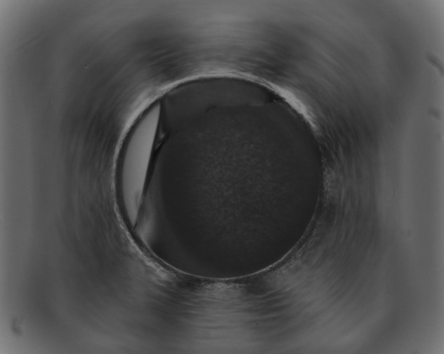 X0000091931327200709191352
