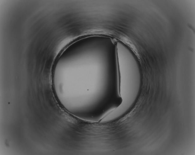 X0000091931328200709191352