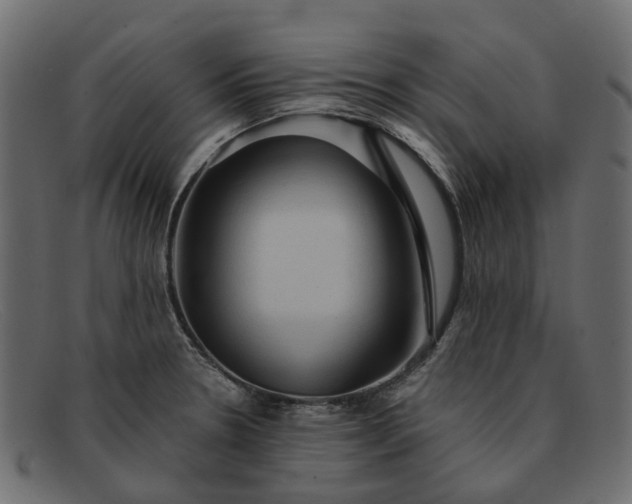 X0000091931330200709191352