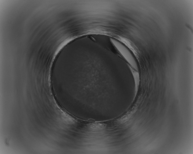 X0000091931331200709191352