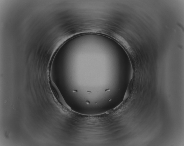 X0000091931332200709191352