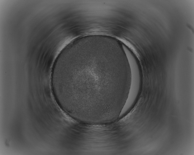 X0000091931333200709191352