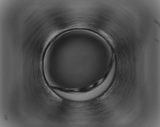 X0000091931334200709191352