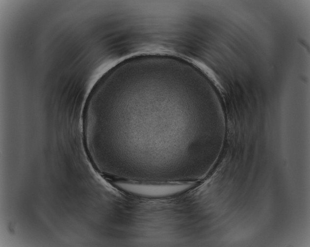 X0000091931335200709191352