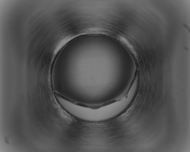 X0000091931336200709191352