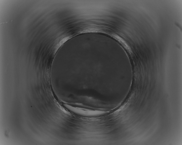 X0000091931337200709191352