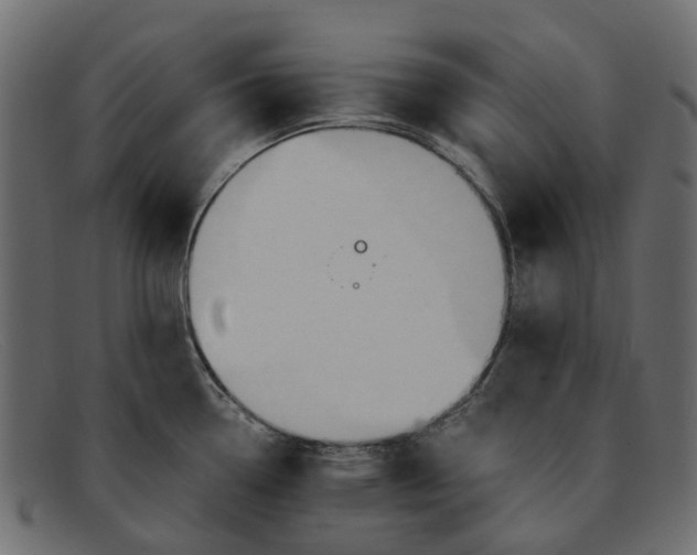 X0000091931338200709191352
