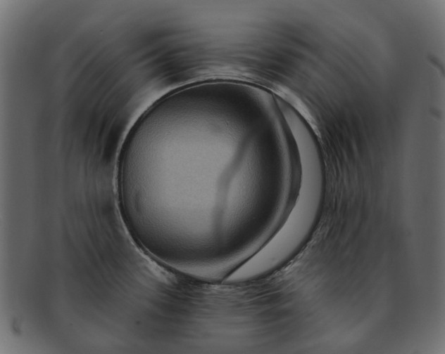 X0000091931339200709191352