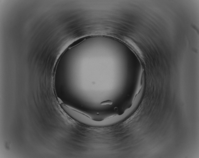 X0000091931340200709191352