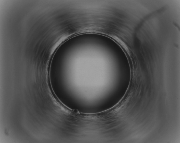 X0000091931341200709191352