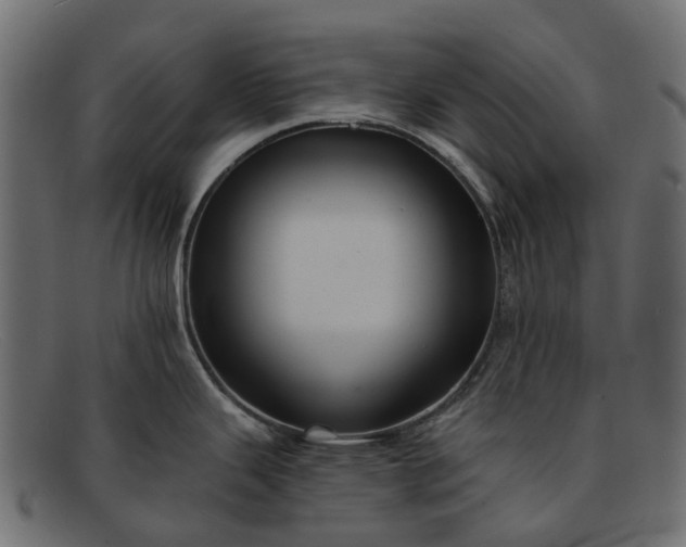 X0000091931343200709191352