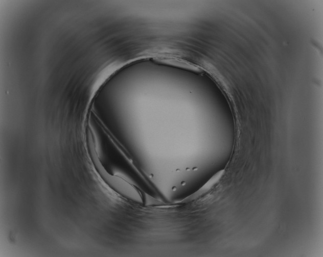 X0000091931344200709191352