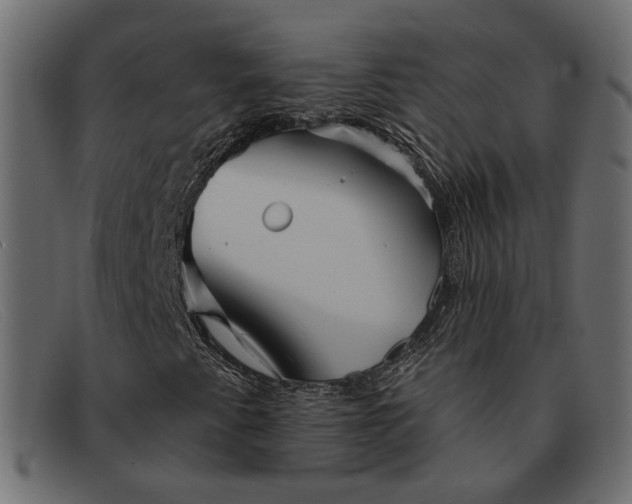 X0000091931345200709191351