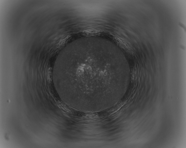 X0000091931346200709191351