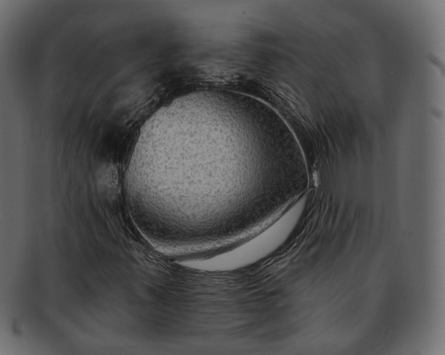 X0000091931347200709191351