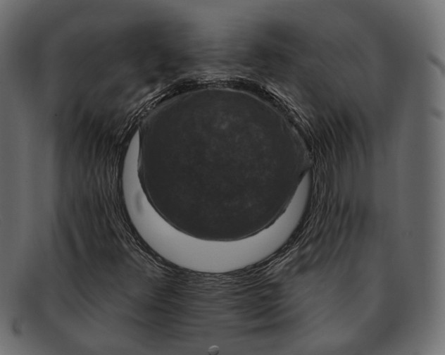 X0000091931348200709191351