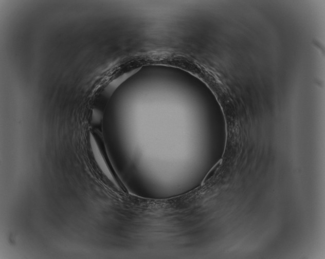 X0000091931349200709191351