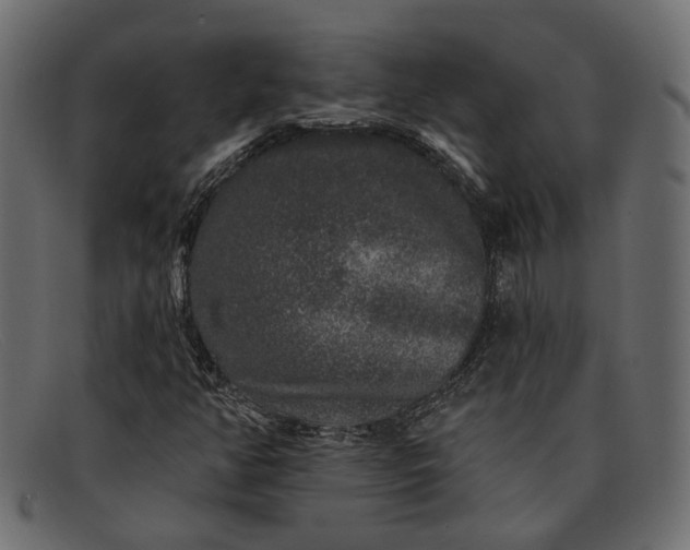 X0000091931350200709191351