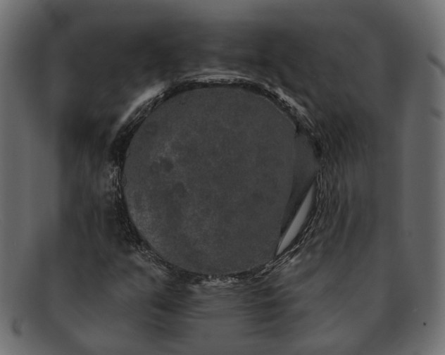 X0000091931351200709191351