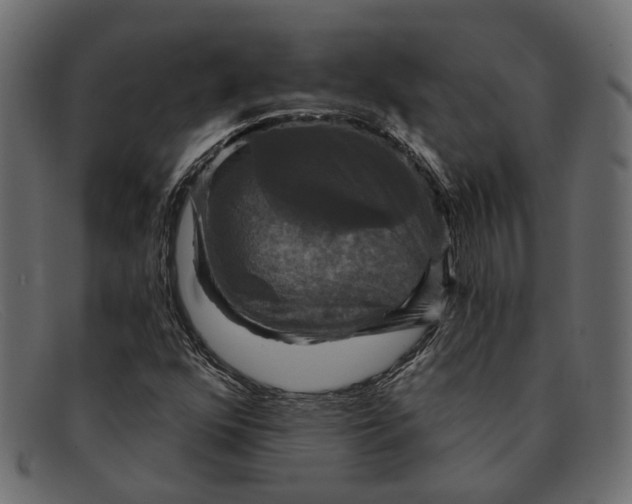 X0000091931352200709191351