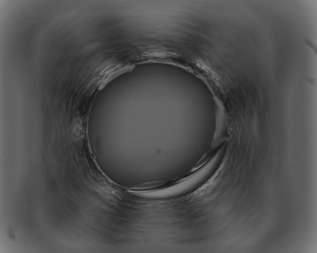 X0000091931353200709191351