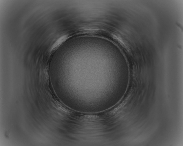 X0000091931354200709191351