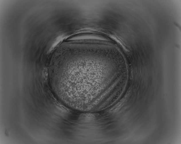 X0000091931355200709191351