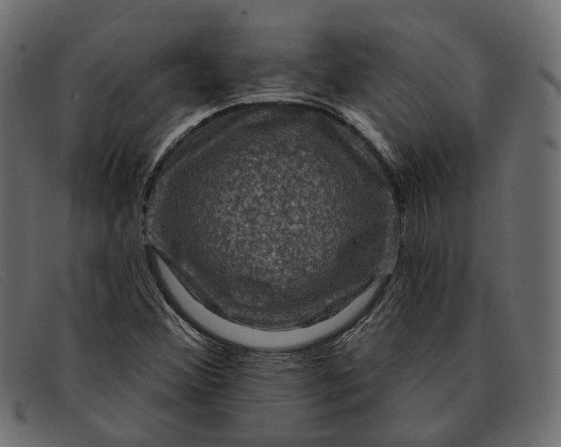 X0000091931356200709191351