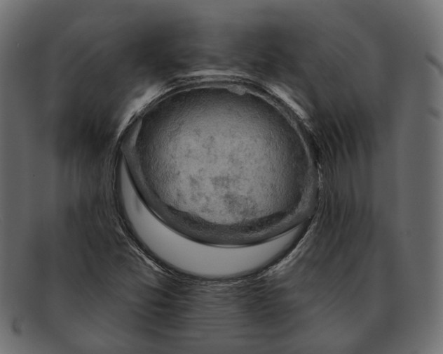 X0000091931357200709191351