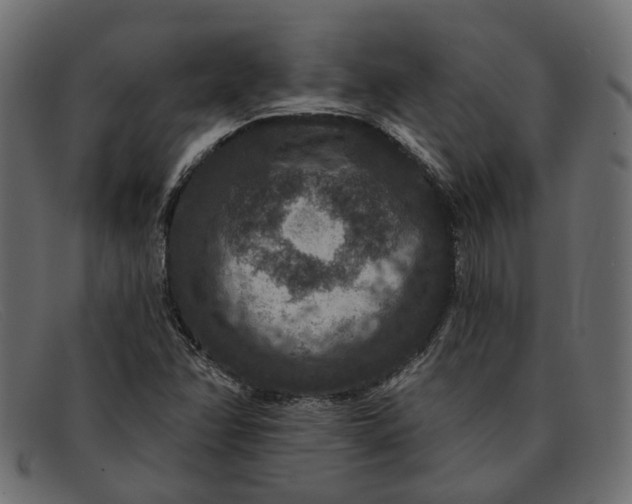 X0000091931358200709191351