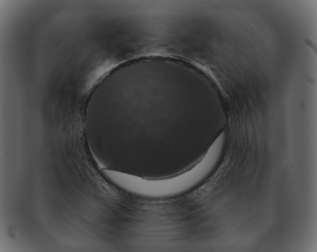 X0000091931359200709191351