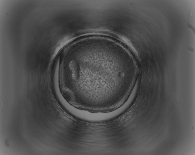 X0000091931360200709191351