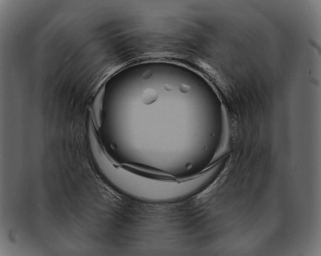 X0000091931361200709191351