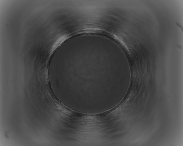 X0000091931362200709191351