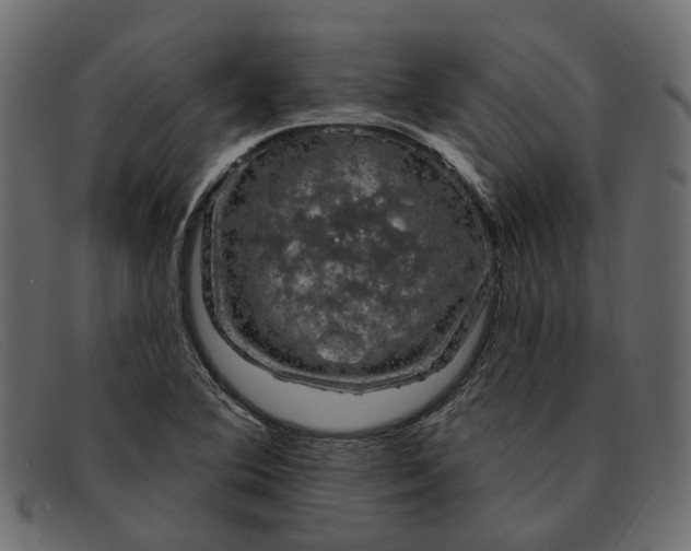 X0000091931364200709191351